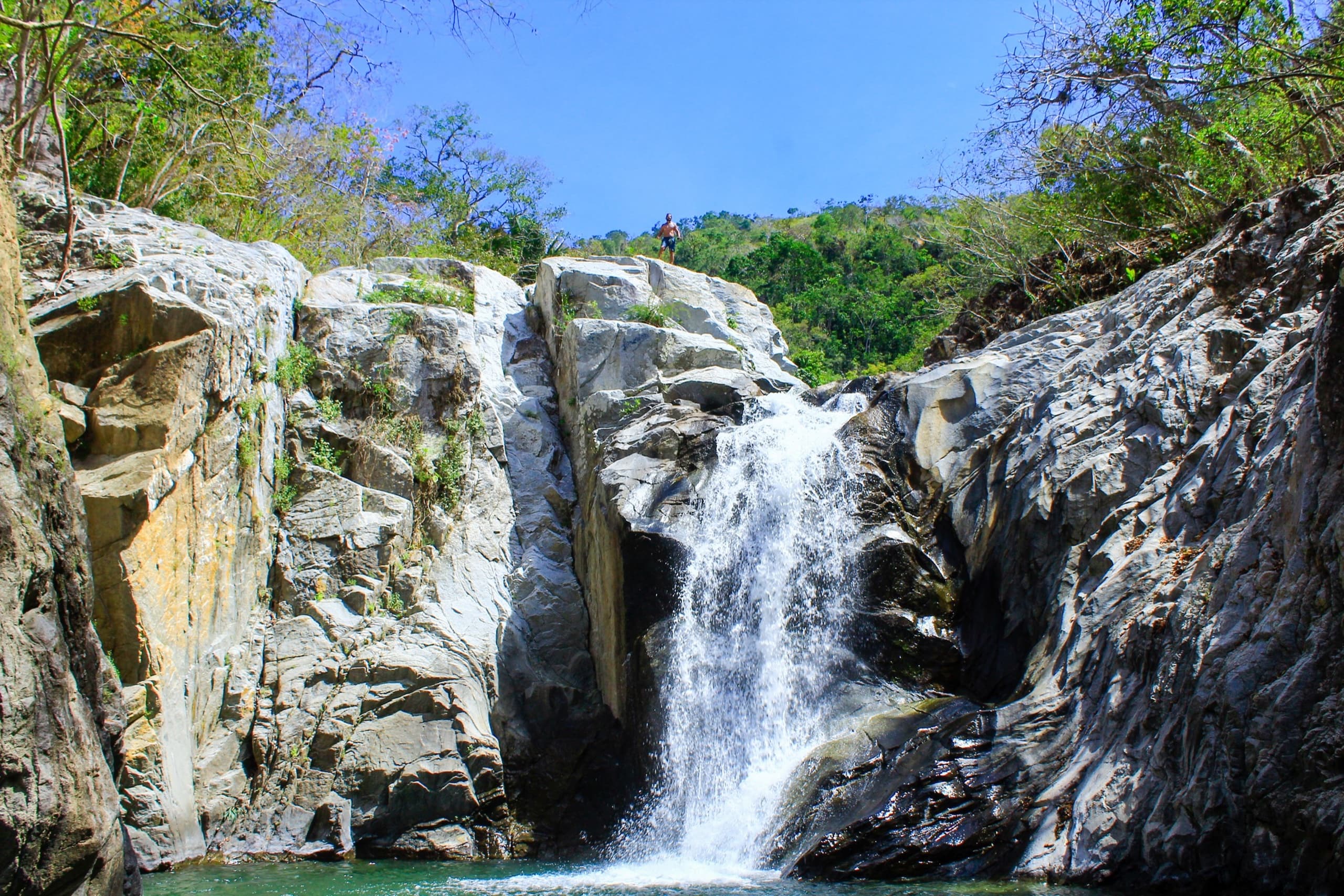 Una cascada en la selva de la costa sur.