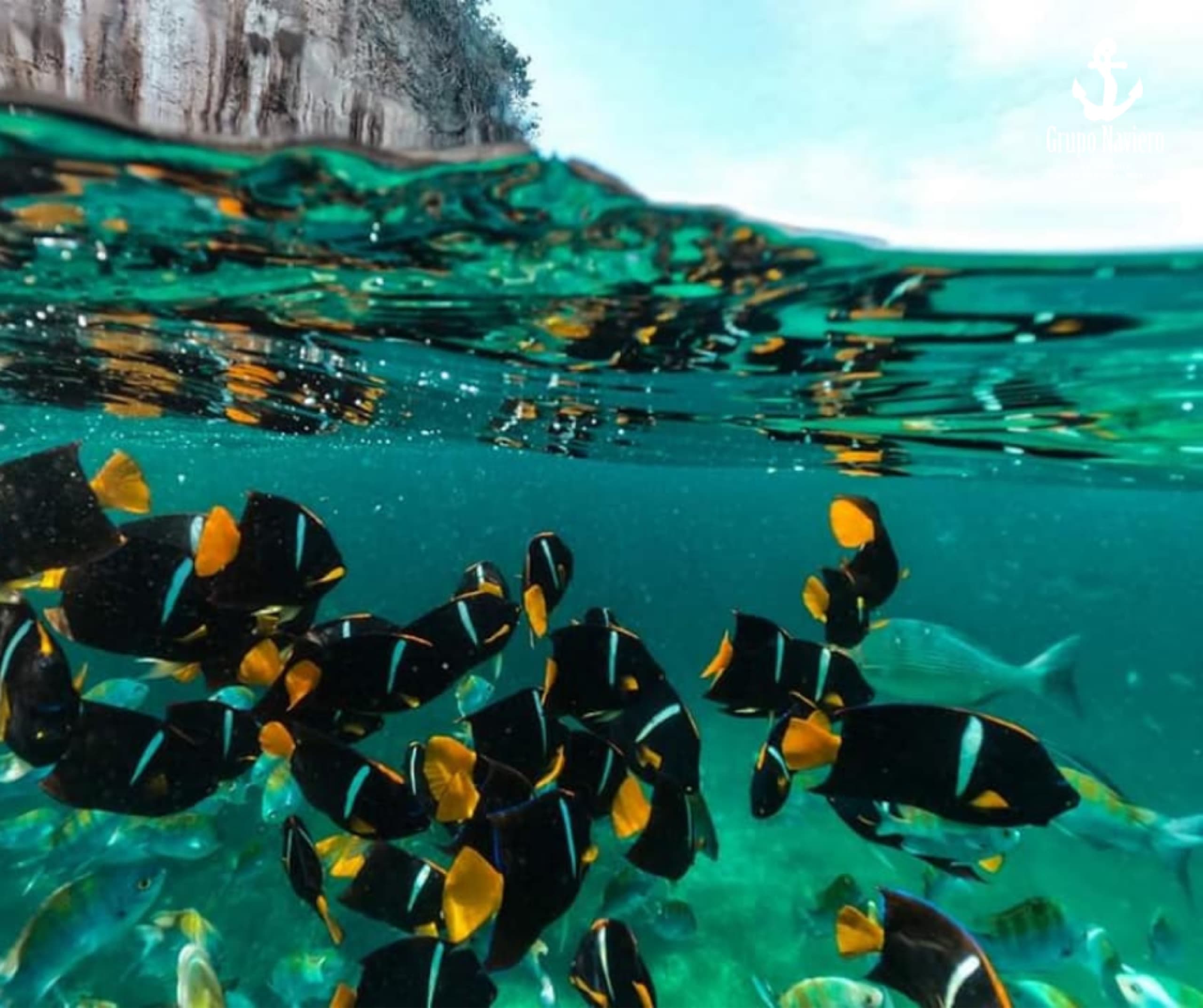 Peces tropicales entre las rocas de Los Arcos.